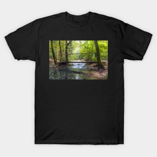 Wooden bridge over river T-Shirt